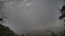 ./images/calvert/fitz-hugh-hecate/20250601/fitz-hugh-hecate20250601_062509M.jpg