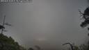 ./images/calvert/fitz-hugh-hecate/20250601/fitz-hugh-hecate20250601_063008M.jpg