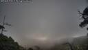 ./images/calvert/fitz-hugh-hecate/20250601/fitz-hugh-hecate20250601_070509M.jpg