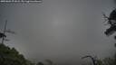 ./images/calvert/fitz-hugh-hecate/20250601/fitz-hugh-hecate20250601_071008M.jpg