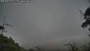 ./images/calvert/fitz-hugh-hecate/20250601/fitz-hugh-hecate20250601_071508M.jpg