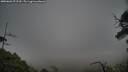 ./images/calvert/fitz-hugh-hecate/20250601/fitz-hugh-hecate20250601_072509M.jpg