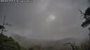 ./images/calvert/fitz-hugh-hecate/20250601/fitz-hugh-hecate20250601_074508M.jpg