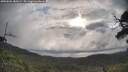 ./images/calvert/fitz-hugh-hecate/20250601/fitz-hugh-hecate20250601_080509M.jpg