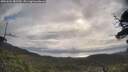 ./images/calvert/fitz-hugh-hecate/20250601/fitz-hugh-hecate20250601_081510M.jpg