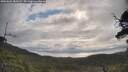 ./images/calvert/fitz-hugh-hecate/20250601/fitz-hugh-hecate20250601_082009M.jpg