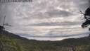 ./images/calvert/fitz-hugh-hecate/20250601/fitz-hugh-hecate20250601_083509M.jpg