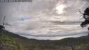 ./images/calvert/fitz-hugh-hecate/20250601/fitz-hugh-hecate20250601_084510M.jpg