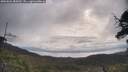 ./images/calvert/fitz-hugh-hecate/20250601/fitz-hugh-hecate20250601_085010M.jpg