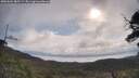 ./images/calvert/fitz-hugh-hecate/20250601/fitz-hugh-hecate20250601_085509M.jpg