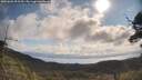 ./images/calvert/fitz-hugh-hecate/20250601/fitz-hugh-hecate20250601_092510M.jpg