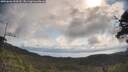./images/calvert/fitz-hugh-hecate/20250601/fitz-hugh-hecate20250601_093510M.jpg