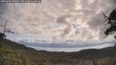 ./images/calvert/fitz-hugh-hecate/20250601/fitz-hugh-hecate20250601_100012M.jpg