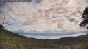 ./images/calvert/fitz-hugh-hecate/20250601/fitz-hugh-hecate20250601_100509M.jpg