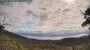 ./images/calvert/fitz-hugh-hecate/20250601/fitz-hugh-hecate20250601_101010M.jpg