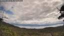 ./images/calvert/fitz-hugh-hecate/20250601/fitz-hugh-hecate20250601_103508M.jpg