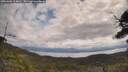 ./images/calvert/fitz-hugh-hecate/20250601/fitz-hugh-hecate20250601_104010M.jpg
