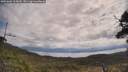 ./images/calvert/fitz-hugh-hecate/20250601/fitz-hugh-hecate20250601_105010M.jpg