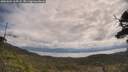 ./images/calvert/fitz-hugh-hecate/20250601/fitz-hugh-hecate20250601_105508M.jpg
