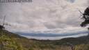 ./images/calvert/fitz-hugh-hecate/20250601/fitz-hugh-hecate20250601_111009M.jpg