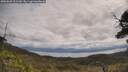 ./images/calvert/fitz-hugh-hecate/20250601/fitz-hugh-hecate20250601_111510M.jpg