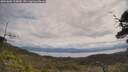 ./images/calvert/fitz-hugh-hecate/20250601/fitz-hugh-hecate20250601_113010M.jpg