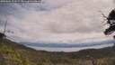 ./images/calvert/fitz-hugh-hecate/20250601/fitz-hugh-hecate20250601_113509M.jpg