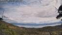 ./images/calvert/fitz-hugh-hecate/20250601/fitz-hugh-hecate20250601_114009M.jpg