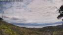 ./images/calvert/fitz-hugh-hecate/20250601/fitz-hugh-hecate20250601_115009M.jpg