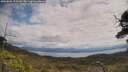 ./images/calvert/fitz-hugh-hecate/20250601/fitz-hugh-hecate20250601_115509M.jpg