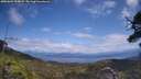 ./images/calvert/fitz-hugh-hecate/20250601/fitz-hugh-hecate20250601_134009M.jpg