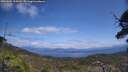 ./images/calvert/fitz-hugh-hecate/20250601/fitz-hugh-hecate20250601_135010M.jpg