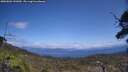 ./images/calvert/fitz-hugh-hecate/20250601/fitz-hugh-hecate20250601_141010M.jpg