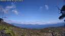 ./images/calvert/fitz-hugh-hecate/20250601/fitz-hugh-hecate20250601_143509M.jpg