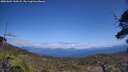 ./images/calvert/fitz-hugh-hecate/20250601/fitz-hugh-hecate20250601_144508M.jpg