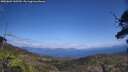 ./images/calvert/fitz-hugh-hecate/20250601/fitz-hugh-hecate20250601_145510M.jpg
