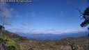 ./images/calvert/fitz-hugh-hecate/20250601/fitz-hugh-hecate20250601_151510M.jpg