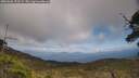 ./images/calvert/fitz-hugh-hecate/20250601/fitz-hugh-hecate20250601_153509M.jpg
