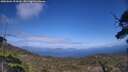 ./images/calvert/fitz-hugh-hecate/20250601/fitz-hugh-hecate20250601_154510M.jpg