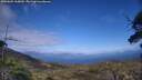 ./images/calvert/fitz-hugh-hecate/20250601/fitz-hugh-hecate20250601_165010M.jpg