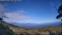 ./images/calvert/fitz-hugh-hecate/20250601/fitz-hugh-hecate20250601_165509M.jpg