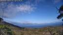 ./images/calvert/fitz-hugh-hecate/20250601/fitz-hugh-hecate20250601_172010M.jpg