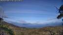./images/calvert/fitz-hugh-hecate/20250601/fitz-hugh-hecate20250601_180508M.jpg