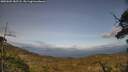 ./images/calvert/fitz-hugh-hecate/20250601/fitz-hugh-hecate20250601_182508M.jpg