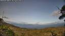 ./images/calvert/fitz-hugh-hecate/20250601/fitz-hugh-hecate20250601_184009M.jpg