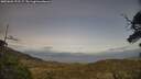 ./images/calvert/fitz-hugh-hecate/20250601/fitz-hugh-hecate20250601_191507M.jpg