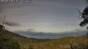 ./images/calvert/fitz-hugh-hecate/20250601/fitz-hugh-hecate20250601_193008M.jpg