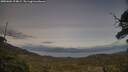 ./images/calvert/fitz-hugh-hecate/20250601/fitz-hugh-hecate20250601_194009M.jpg