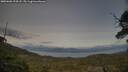 ./images/calvert/fitz-hugh-hecate/20250601/fitz-hugh-hecate20250601_194508M.jpg