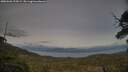 ./images/calvert/fitz-hugh-hecate/20250601/fitz-hugh-hecate20250601_195009M.jpg